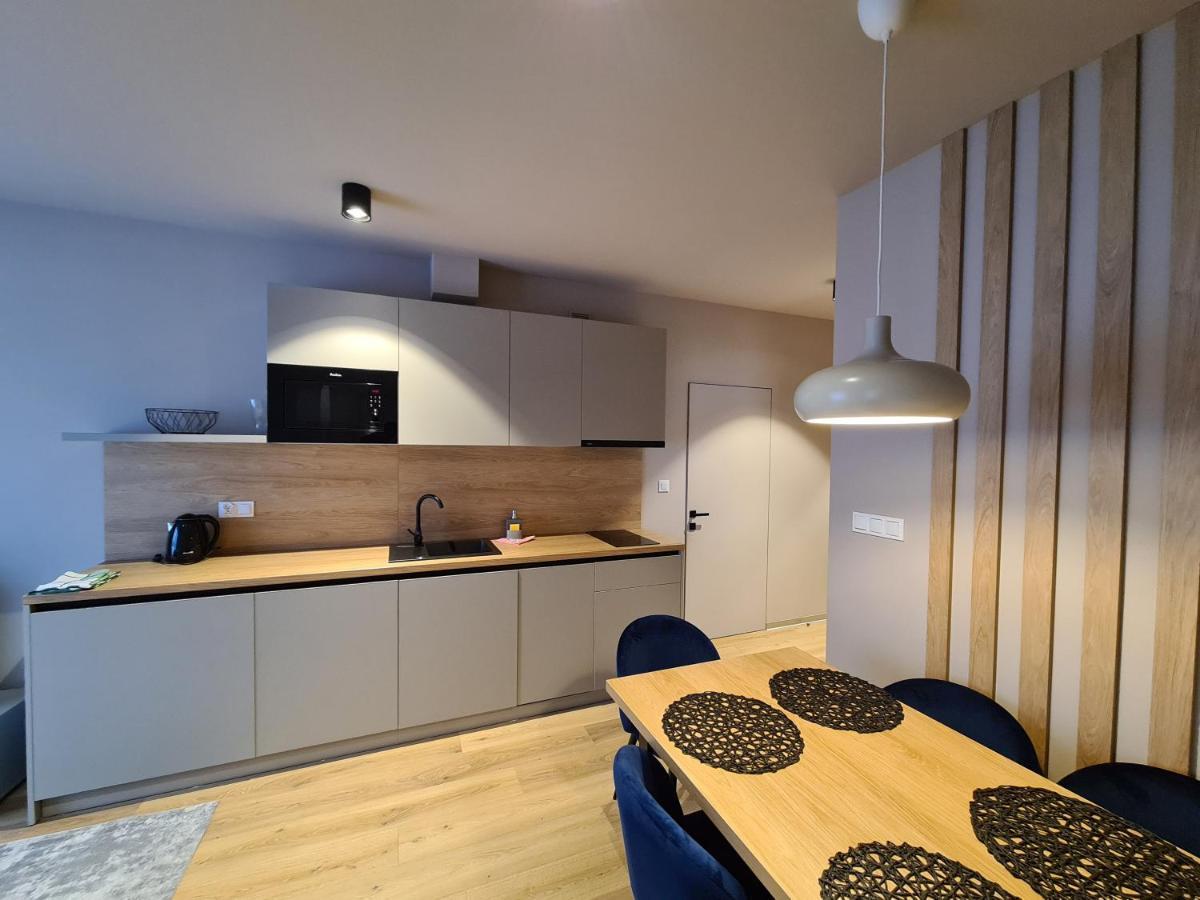 Apartament D2 Karpatia - 5D Apartamenty Karpacz Esterno foto
